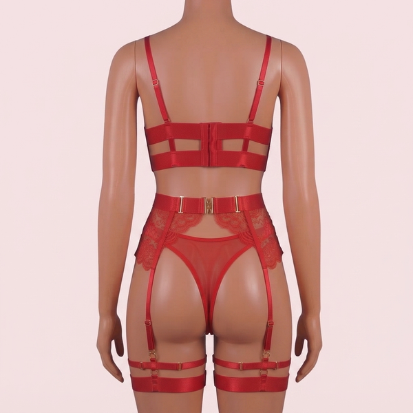 Red Bra Panty Set with Garter Belt and Straps – Lingerie