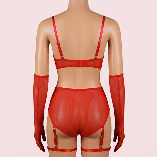 Red Bra Panty Set with Garter Belt – Lingerie