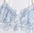 Blue Bra Panty Set with Garter Belt and Straps – Lingerie