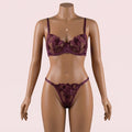 Brown Bra Panty Set – Lingerie